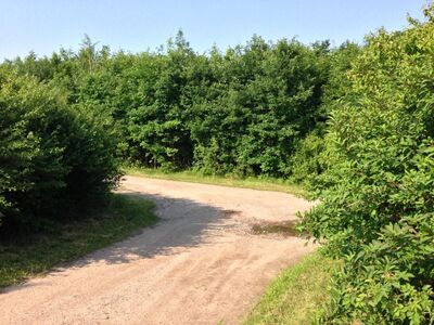 Startpunkt der Südumfahrung im Gewerbegebiet Radefeld
